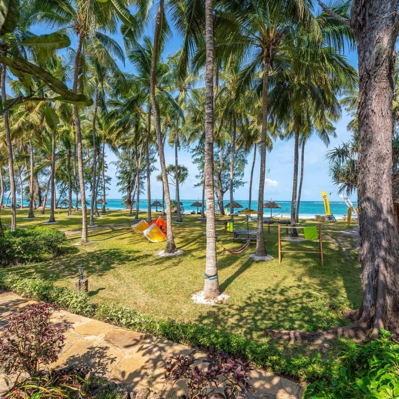 Bush and Beach Combo